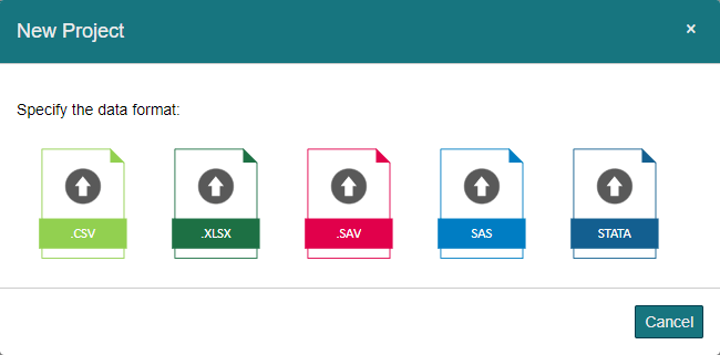 The 5 data types supported by Intellectus.