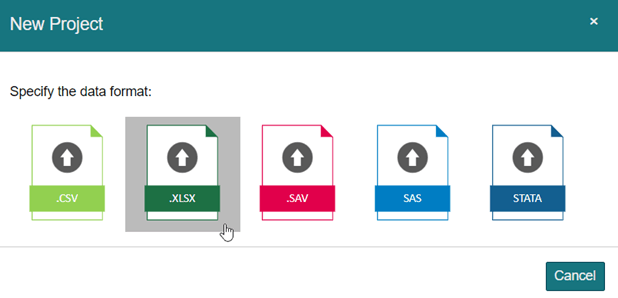 The image shows the 5 data types supported by Intellectus.